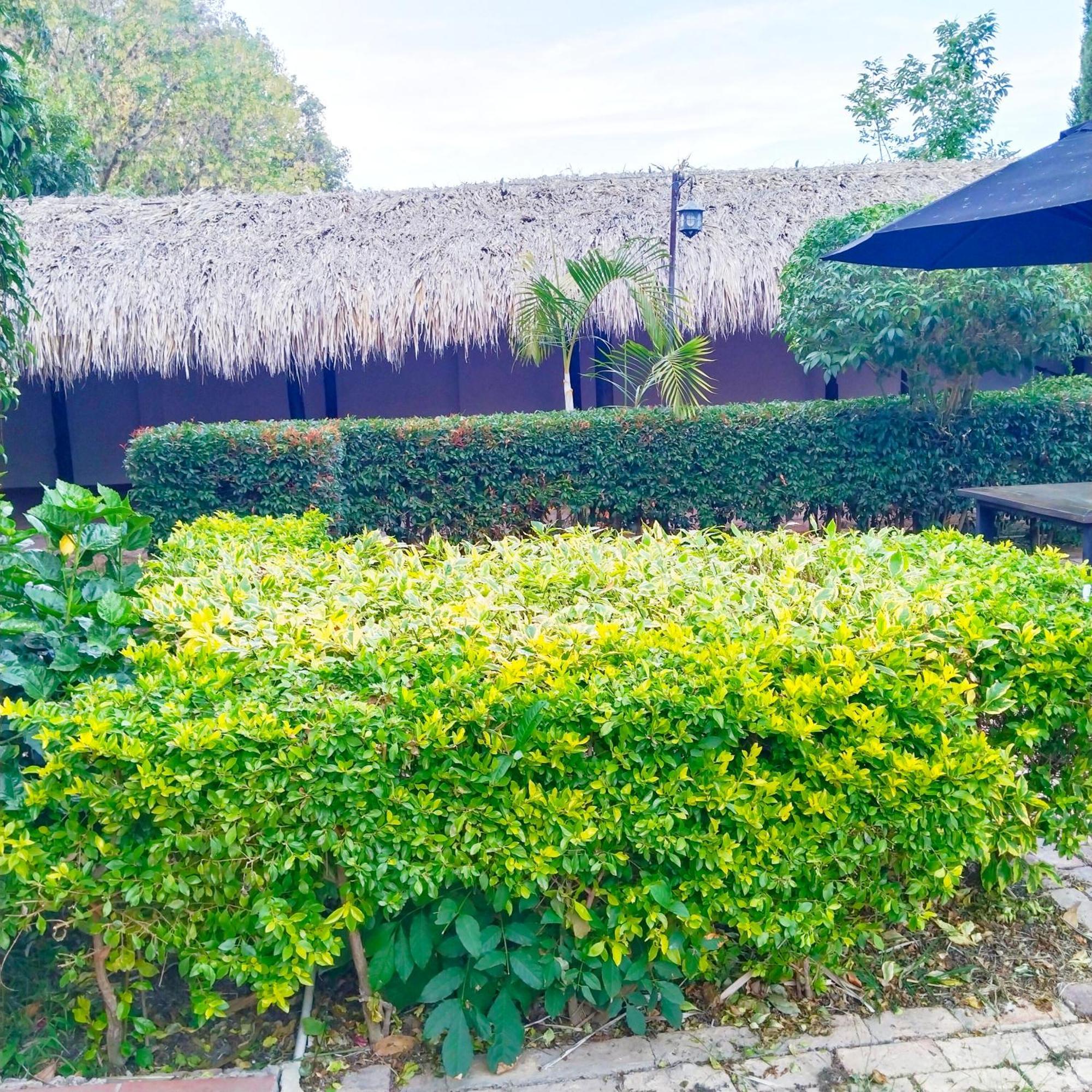 Hostal Balcon De Anita Rancho Tranquera Villa de Leyva Dış mekan fotoğraf